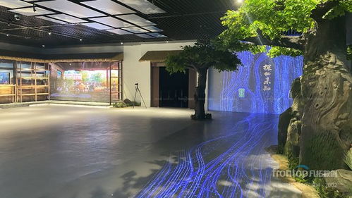 數(shù)字創(chuàng)意先鋒，國(guó)際榮耀加冕 凡拓?cái)?shù)創(chuàng)趙崇光榮獲idpa award top100國(guó)際影響力創(chuàng)新設(shè)計(jì)師大獎(jiǎng)